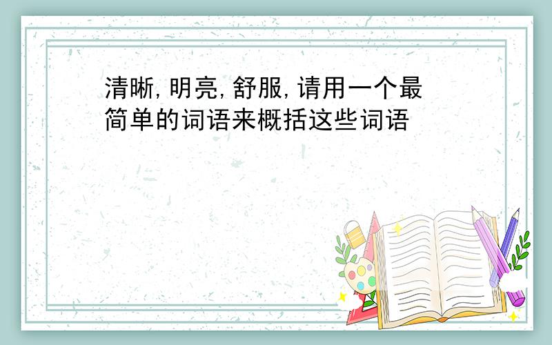 清晰,明亮,舒服,请用一个最简单的词语来概括这些词语