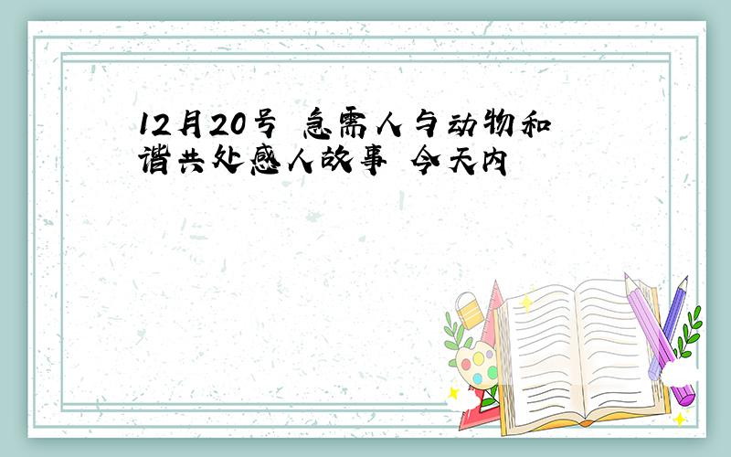 12月20号 急需人与动物和谐共处感人故事 今天内