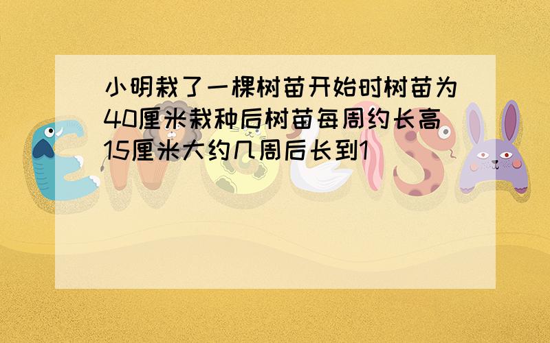 小明栽了一棵树苗开始时树苗为40厘米栽种后树苗每周约长高15厘米大约几周后长到1