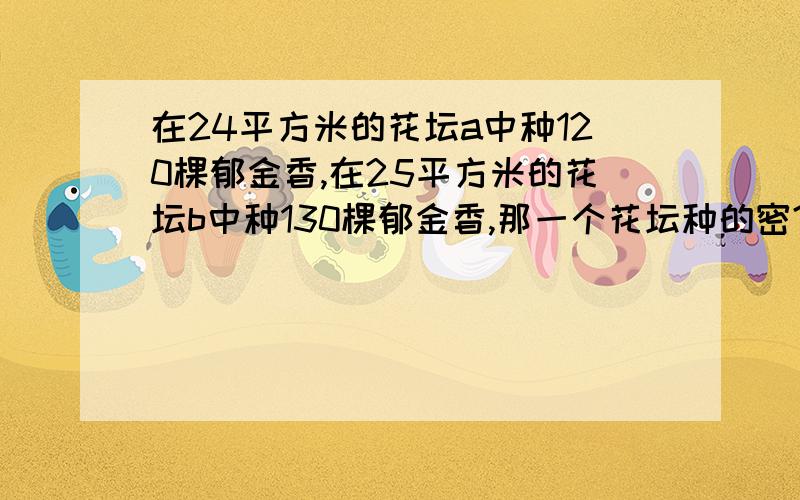 在24平方米的花坛a中种120棵郁金香,在25平方米的花坛b中种130棵郁金香,那一个花坛种的密?