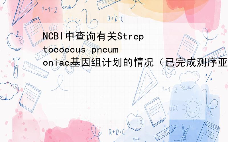 NCBI中查询有关Streptococcus pneumoniae基因组计划的情况（已完成测序亚种的有哪些,