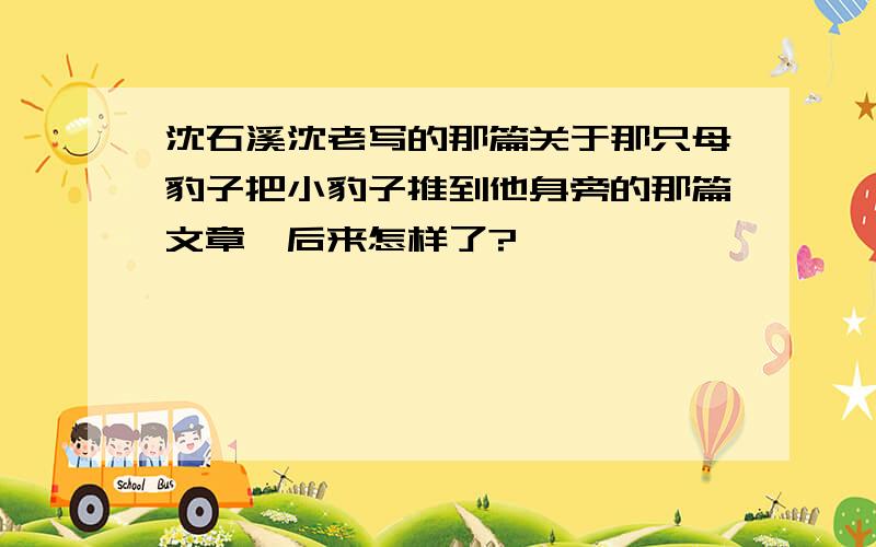 沈石溪沈老写的那篇关于那只母豹子把小豹子推到他身旁的那篇文章,后来怎样了?