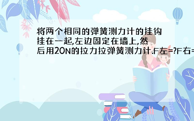 将两个相同的弹簧测力计的挂钩挂在一起,左边固定在墙上,然后用20N的拉力拉弹簧测力计.F左=?F右=?老师说两个都是20