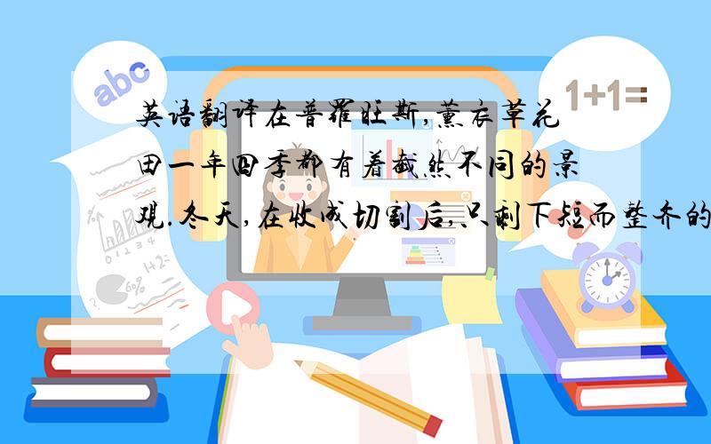 英语翻译在普罗旺斯,薰衣草花田一年四季都有着截然不同的景观.冬天,在收成切割后,只剩下短而整齐的枯茎,覆盖着白雪.春天一