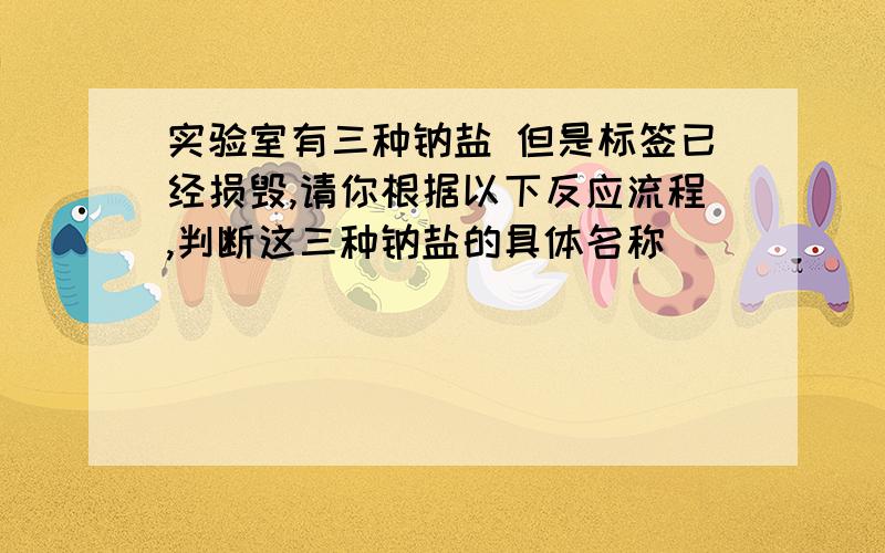 实验室有三种钠盐 但是标签已经损毁,请你根据以下反应流程,判断这三种钠盐的具体名称