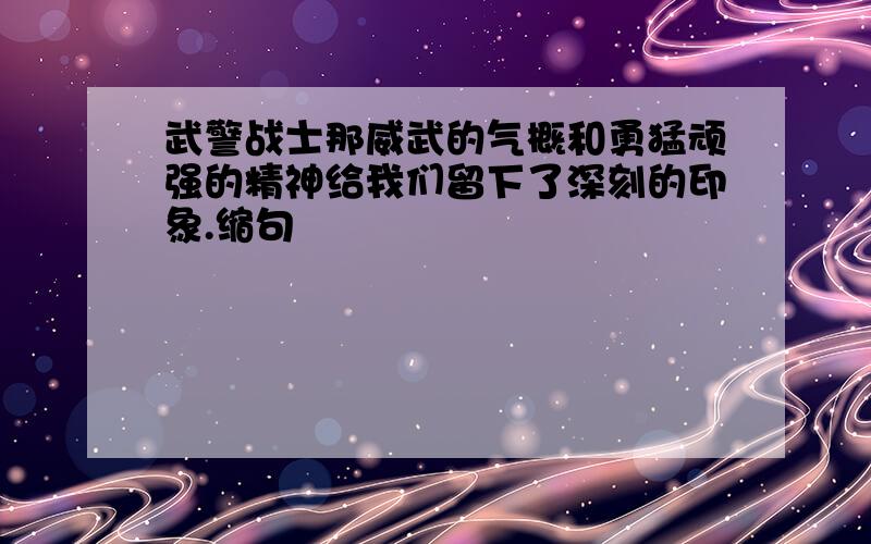 武警战士那威武的气概和勇猛顽强的精神给我们留下了深刻的印象.缩句