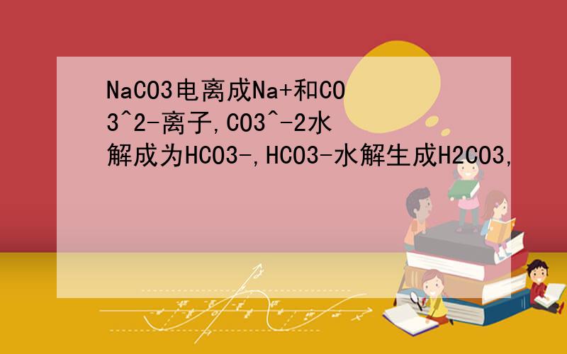 NaCO3电离成Na+和CO3^2-离子,CO3^-2水解成为HCO3-,HCO3-水解生成H2CO3,