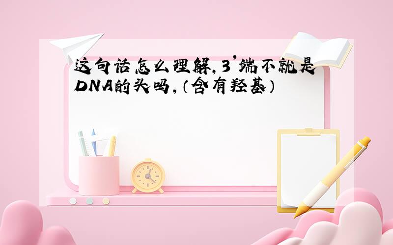 这句话怎么理解,3'端不就是DNA的头吗,（含有羟基）