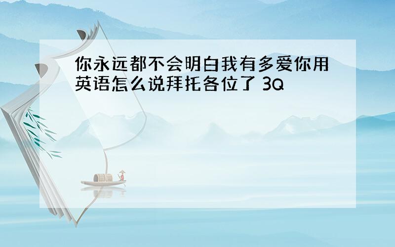 你永远都不会明白我有多爱你用英语怎么说拜托各位了 3Q