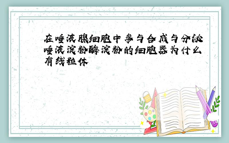 在唾液腺细胞中参与合成与分泌唾液淀粉酶淀粉的细胞器为什么有线粒体