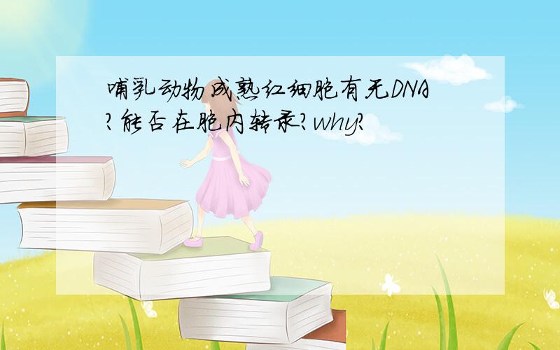 哺乳动物成熟红细胞有无DNA?能否在胞内转录?why?