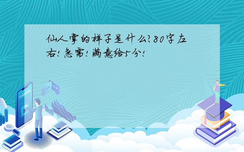 仙人掌的样子是什么?80字左右!急需!满意给5分!