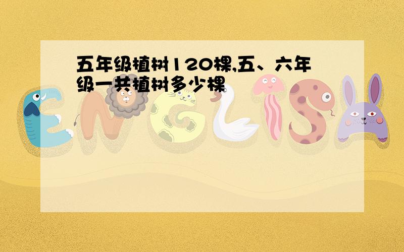 五年级植树120棵,五、六年级一共植树多少棵