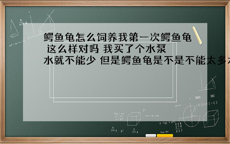 鳄鱼龟怎么饲养我第一次鳄鱼龟 这么样对吗 我买了个水泵 水就不能少 但是鳄鱼龟是不是不能太多水 但是我龟缸里有假山