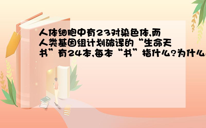 人体细胞中有23对染色体,而人类基因组计划破译的“生命天书”有24本,每本“书”指什么?为什么这套书是24本而不是23本