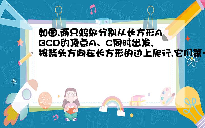 如图,两只蚂蚁分别从长方形ABCD的顶点A、C同时出发,按箭头方向在长方形的边上爬行,它们第一次相遇在离