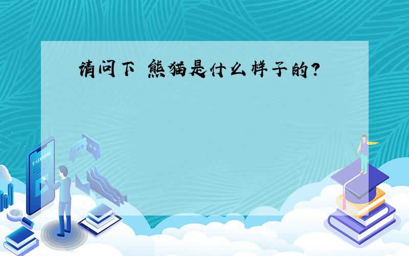 请问下 熊猫是什么样子的?