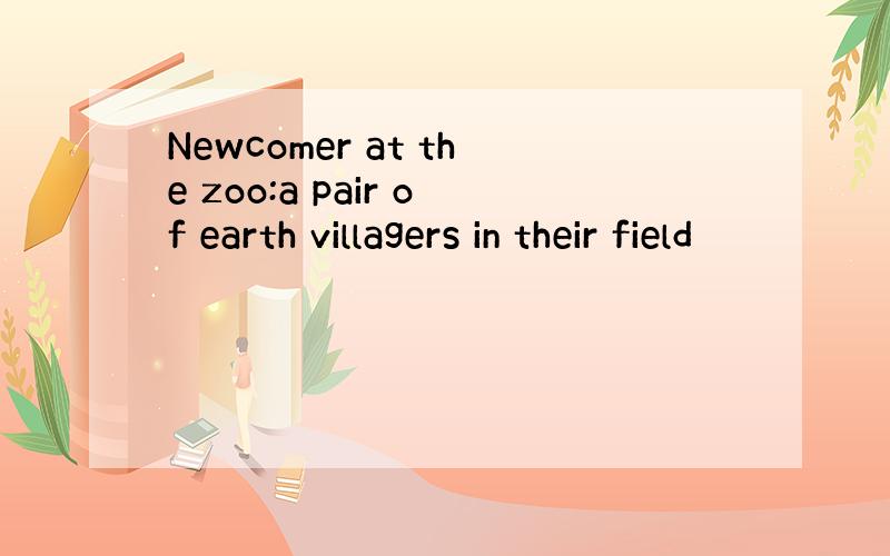 Newcomer at the zoo:a pair of earth villagers in their field