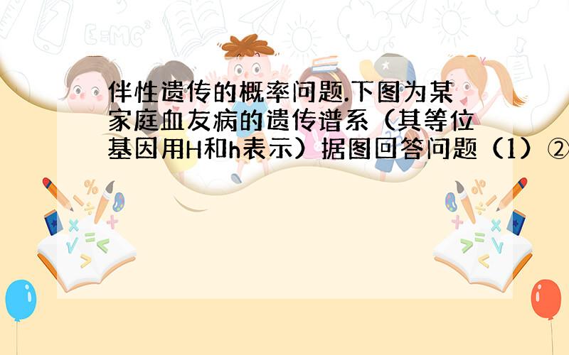 伴性遗传的概率问题.下图为某家庭血友病的遗传谱系（其等位基因用H和h表示）据图回答问题（1）②的基因型为 ,③的基因型为