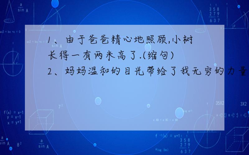 1、由于爸爸精心地照顾,小树长得一有两米高了.(缩句) 2、妈妈温和的目光带给了我无穷的力量.（缩句）