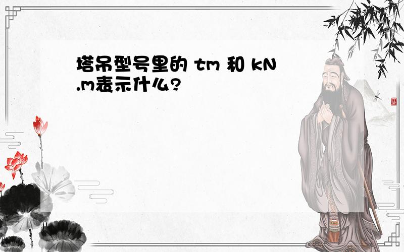 塔吊型号里的 tm 和 kN.m表示什么?