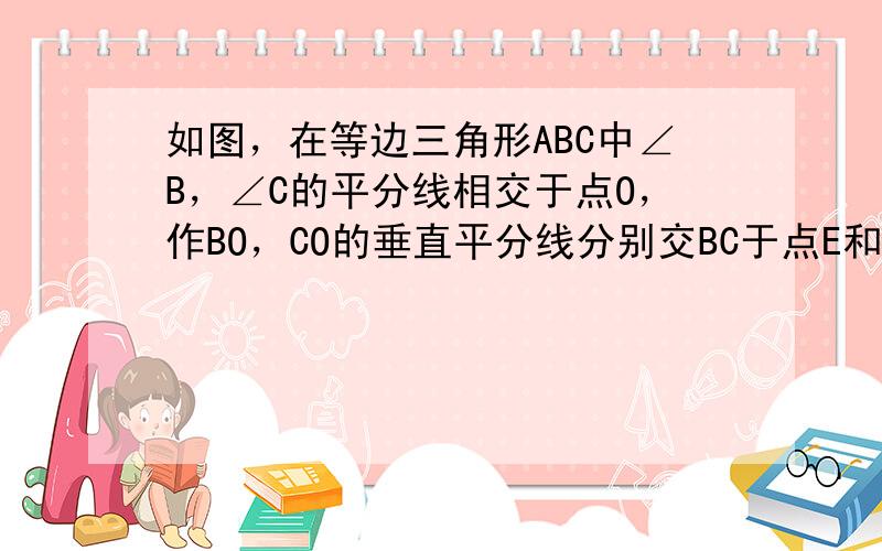 如图，在等边三角形ABC中∠B，∠C的平分线相交于点O，作BO，CO的垂直平分线分别交BC于点E和点F．小明说：“E，F