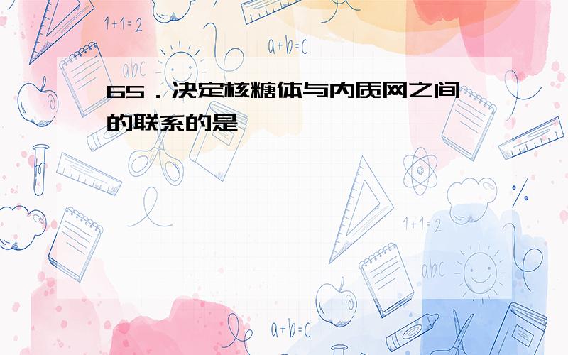 65．决定核糖体与内质网之间的联系的是