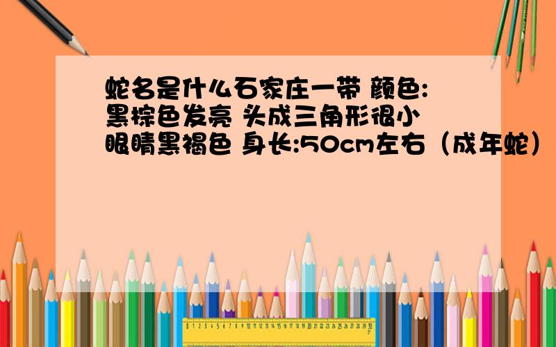 蛇名是什么石家庄一带 颜色:黑棕色发亮 头成三角形很小 眼睛黑褐色 身长:50cm左右（成年蛇）身体扁平 宽:3.5cm