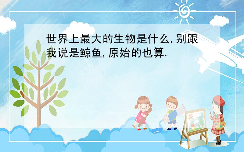 世界上最大的生物是什么,别跟我说是鲸鱼,原始的也算.