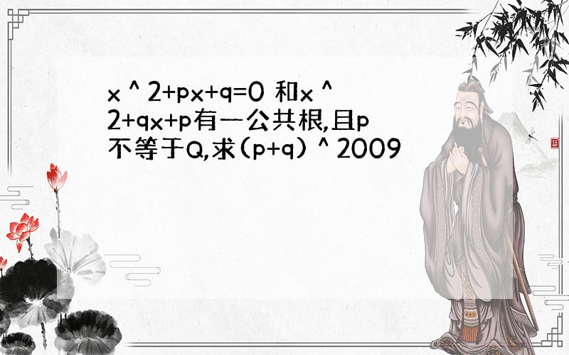 x＾2+px+q=0 和x＾2+qx+p有一公共根,且p不等于Q,求(p+q)＾2009