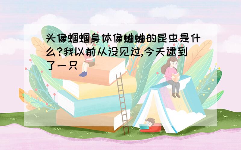 头像蝈蝈身体像蛐蛐的昆虫是什么?我以前从没见过,今天逮到了一只