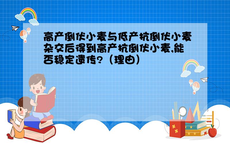 高产倒伏小麦与低产抗倒伏小麦杂交后得到高产抗倒伏小麦,能否稳定遗传?（理由）