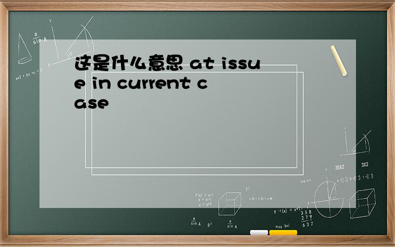 这是什么意思 at issue in current case