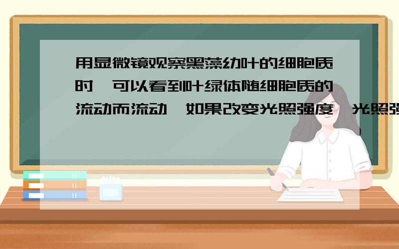 用显微镜观察黑藻幼叶的细胞质时,可以看到叶绿体随细胞质的流动而流动,如果改变光照强度,光照强度大...