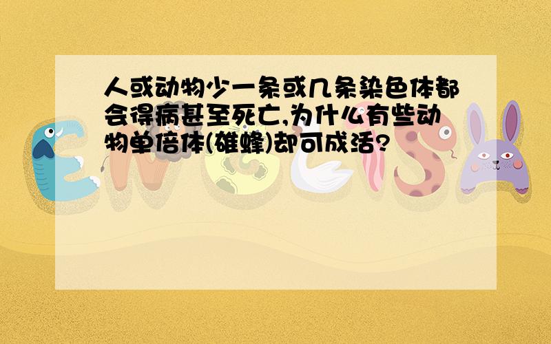 人或动物少一条或几条染色体都会得病甚至死亡,为什么有些动物单倍体(雄蜂)却可成活?