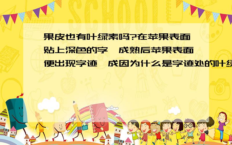 果皮也有叶绿素吗?在苹果表面贴上深色的字,成熟后苹果表面便出现字迹,成因为什么是字迹处的叶绿素下降?难道果皮也会有叶绿素