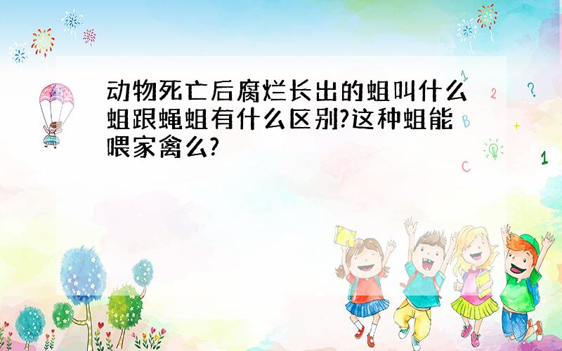 动物死亡后腐烂长出的蛆叫什么蛆跟蝇蛆有什么区别?这种蛆能喂家禽么?