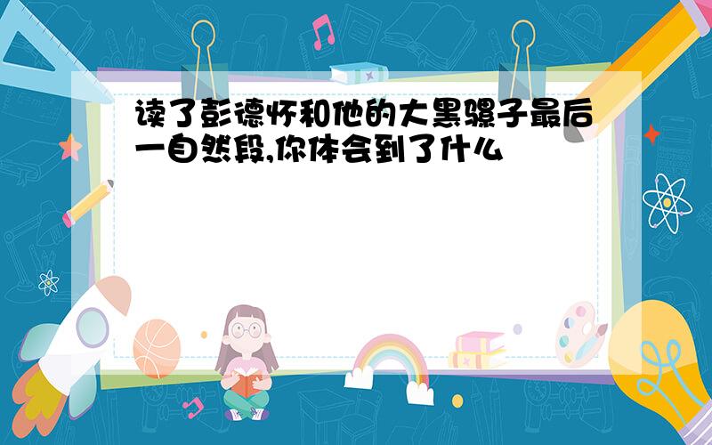 读了彭德怀和他的大黑骡子最后一自然段,你体会到了什么