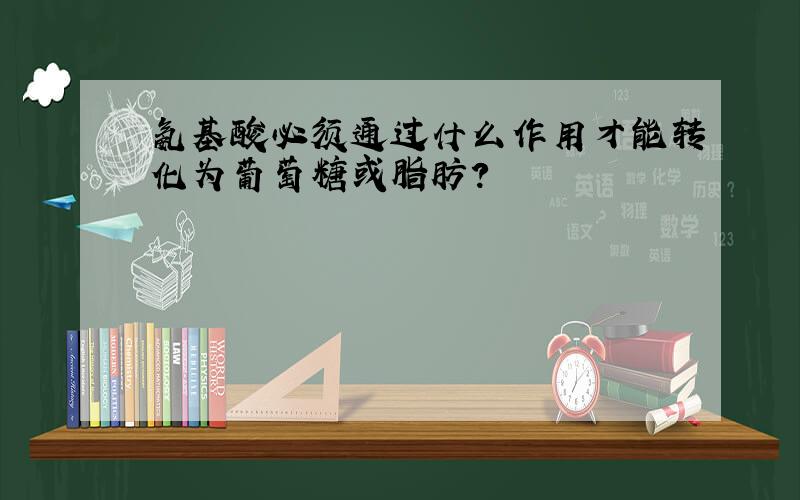 氨基酸必须通过什么作用才能转化为葡萄糖或脂肪?