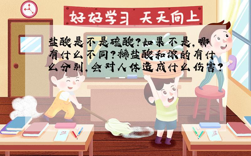 盐酸是不是硫酸?如果不是,哪有什么不同?稀盐酸和浓的有什么分别,会对人体造成什么伤害?