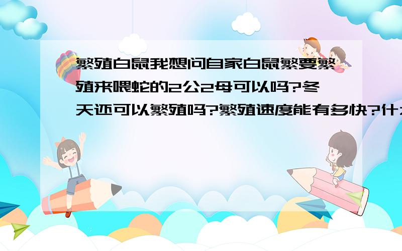 繁殖白鼠我想问自家白鼠繁要繁殖来喂蛇的2公2母可以吗?冬天还可以繁殖吗?繁殖速度能有多快?什么不可以?不可以一公一母?还