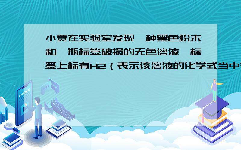 小贾在实验室发现一种黑色粉末和一瓶标签破损的无色溶液,标签上标有H2（表示该溶液的化学式当中有H2）.他取少量黑色粉末与