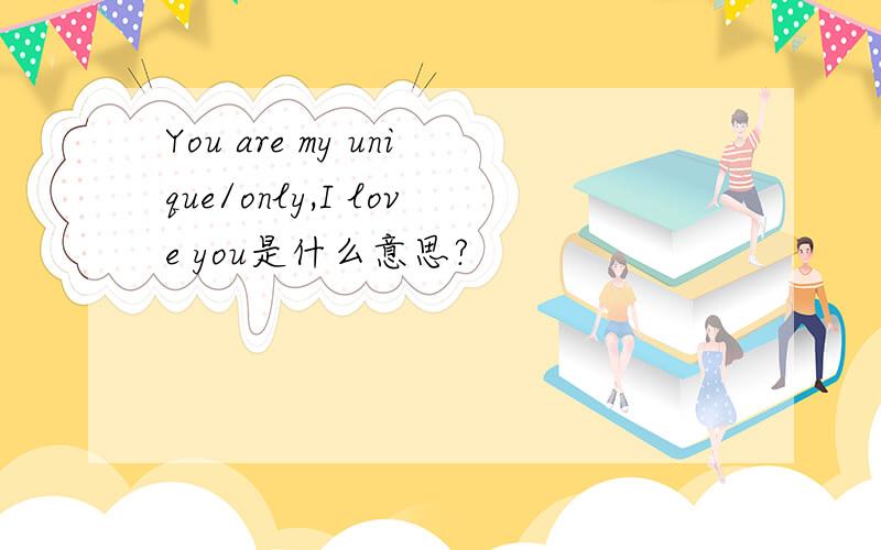 You are my unique/only,I love you是什么意思?