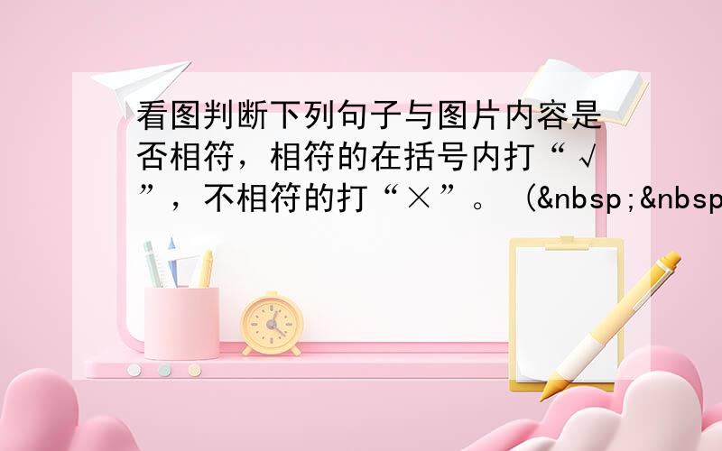 看图判断下列句子与图片内容是否相符，相符的在括号内打“√”，不相符的打“×”。 (   &