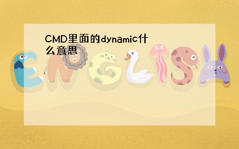 CMD里面的dynamic什么意思