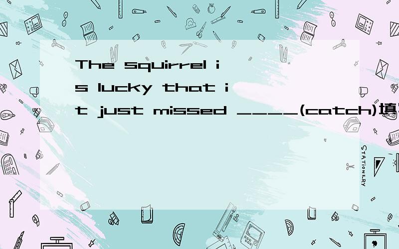 The squirrel is lucky that it just missed ____(catch)填写并说明理由