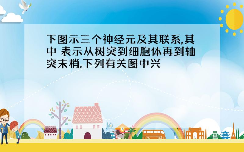 下图示三个神经元及其联系,其中 表示从树突到细胞体再到轴突末梢.下列有关图中兴