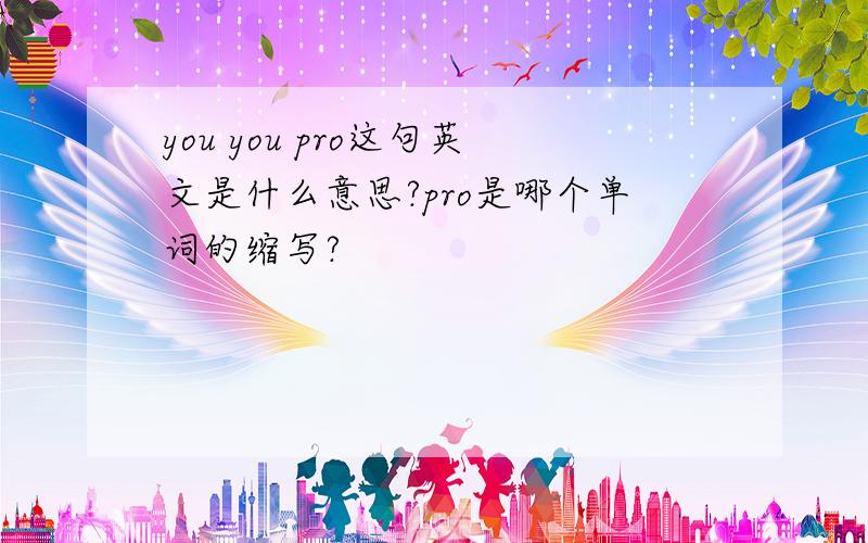 you you pro这句英文是什么意思?pro是哪个单词的缩写?