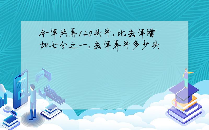 今年共养120头牛,比去年增加七分之一,去年养牛多少头