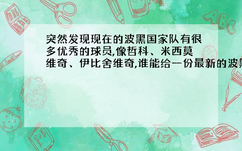 突然发现现在的波黑国家队有很多优秀的球员,像哲科、米西莫维奇、伊比舍维奇,谁能给一份最新的波黑国家队的名单啊?